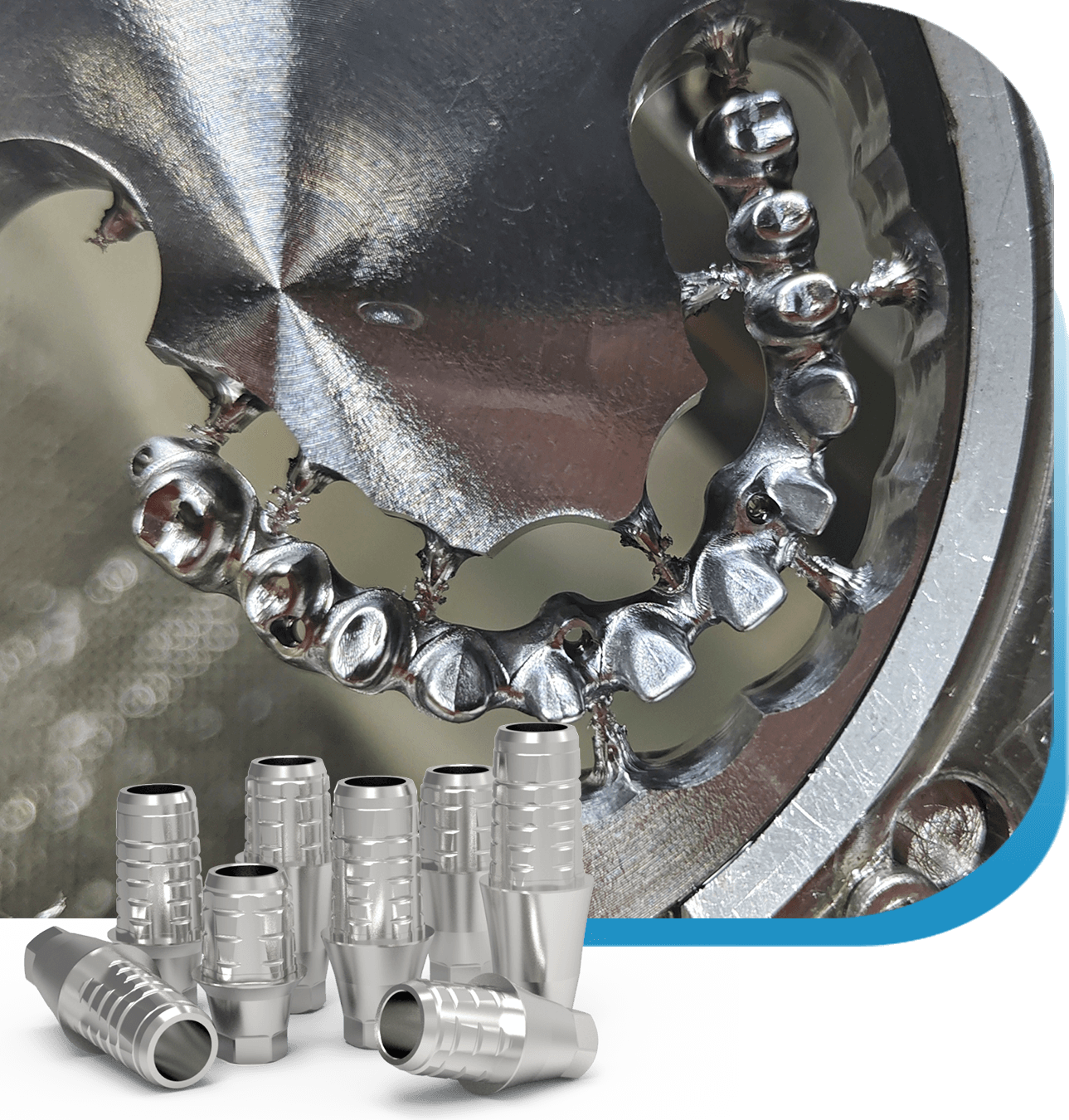 Custom & OEM Solutions