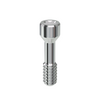 Abutment Screw