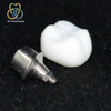Implant-Supported Full-Contour Multilayer Zirconia Crown